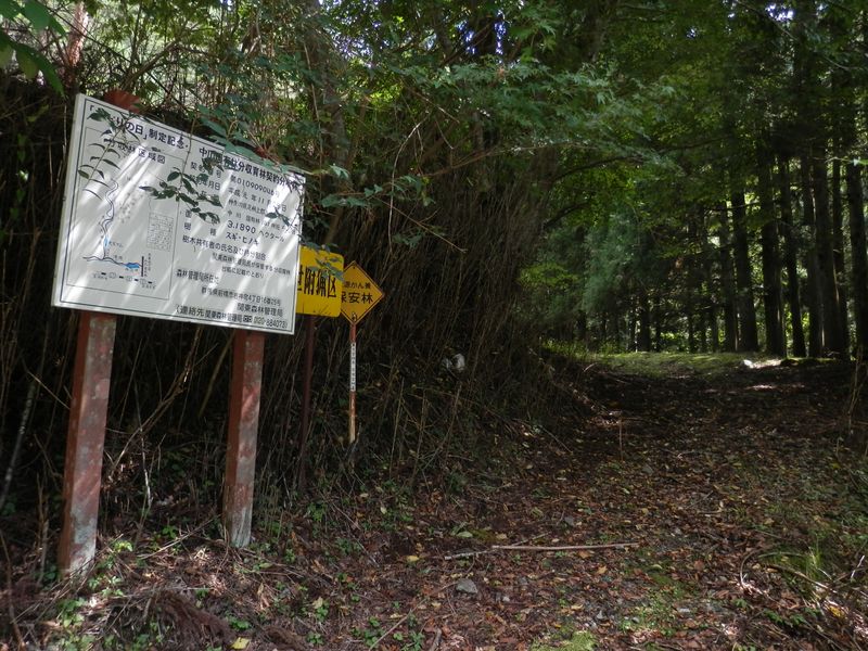 二本杉峠への取り付きか