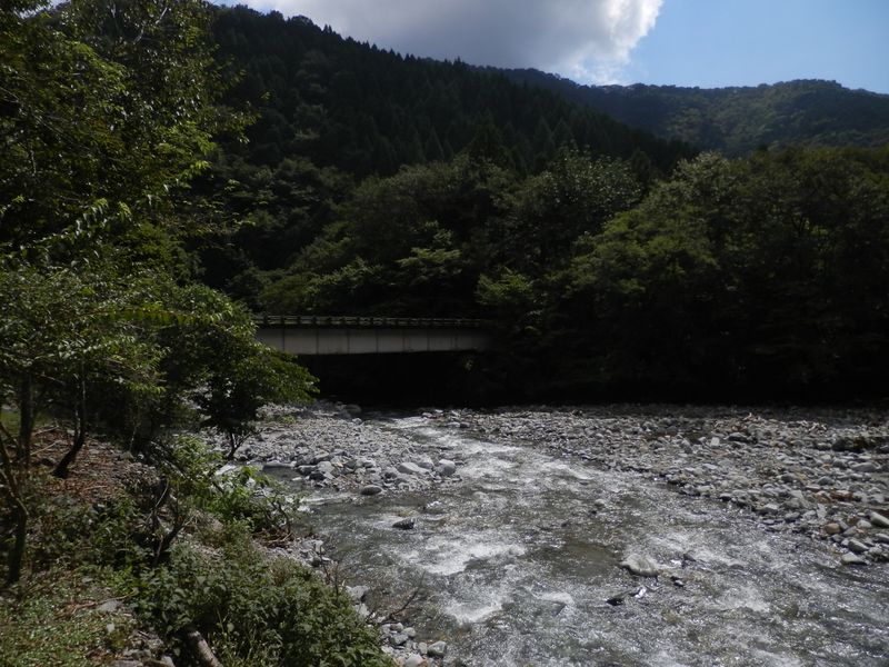 千鳥橋を上流側より望む