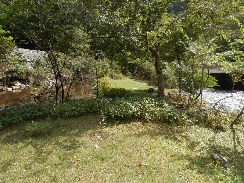 千鳥橋のたもと、ミニ緑地