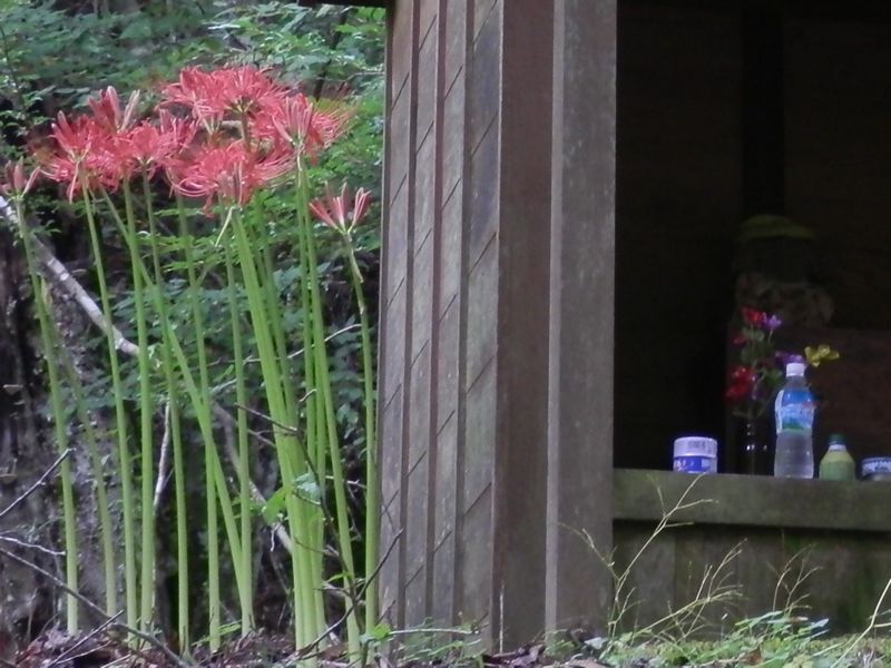 通行人を見守っていたお地蔵様