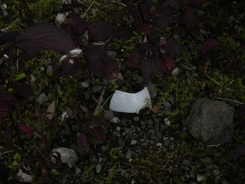 茶碗のかけらがあった