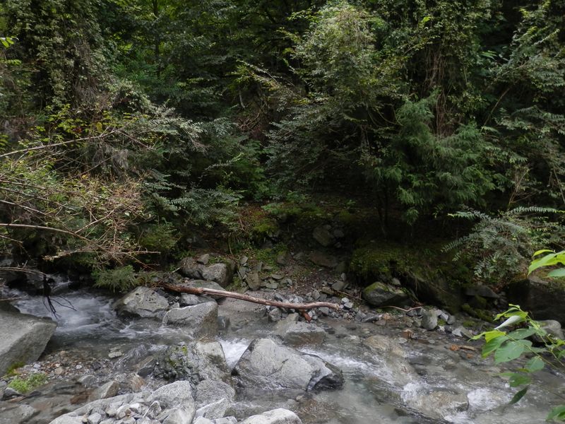 関ノ沢右岸から左岸に渡り返す