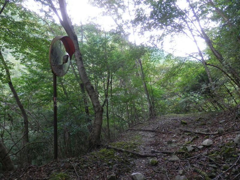 一つ目のカーブミラー