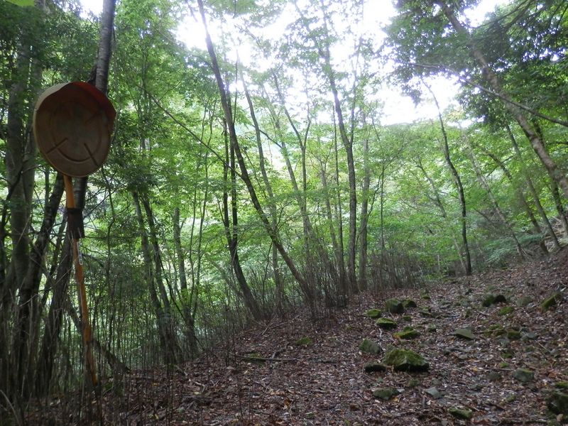 二つ目のカーブミラー