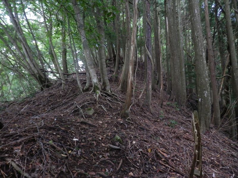 屏風岩山 -- けっこう傾斜のある尾根