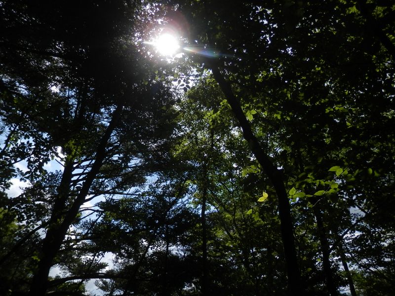 屏風岩山 -- 時々陽が射して来る
