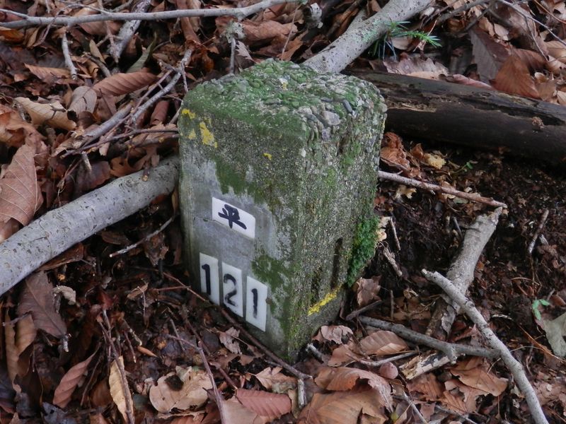 石標の右に「山」