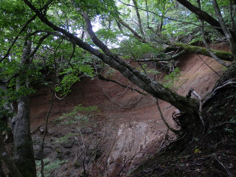 屏風岩山 -- 崩落地を左に見る