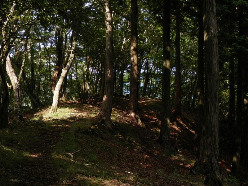 屏風岩山 -- 山頂が太陽に祝福されているぞ！