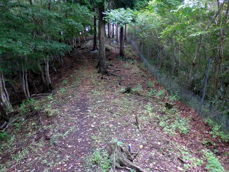 屏風岩山 -- 右に鹿柵を見ながら