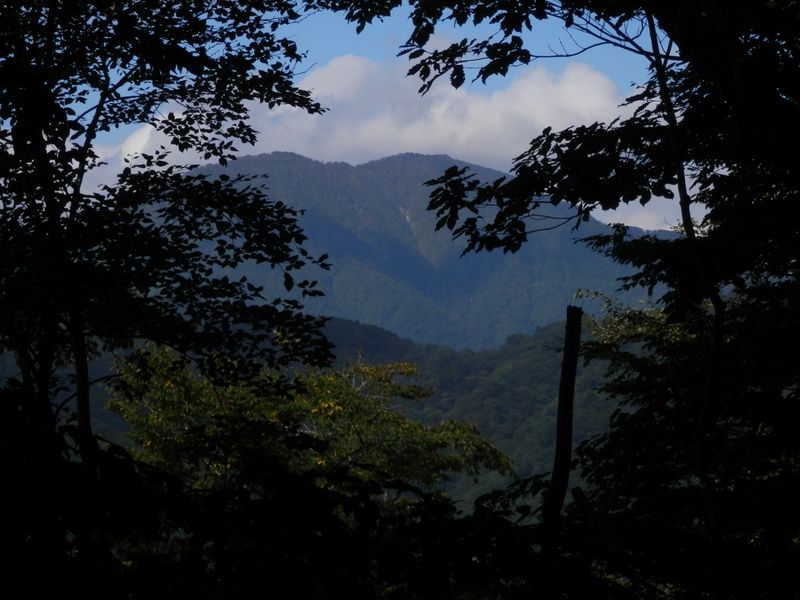 彼方の山は檜洞丸か。14：31 </span>
<p><span class=