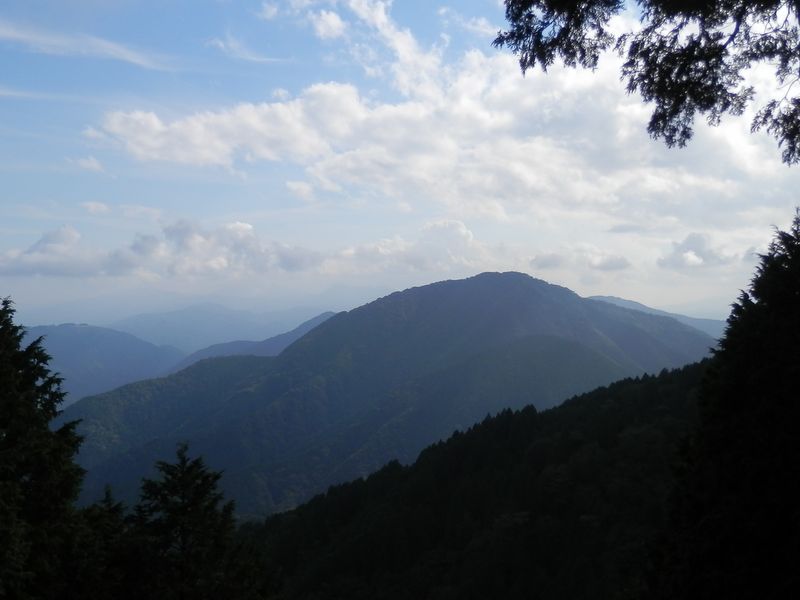 （世附）権現山もどっしり