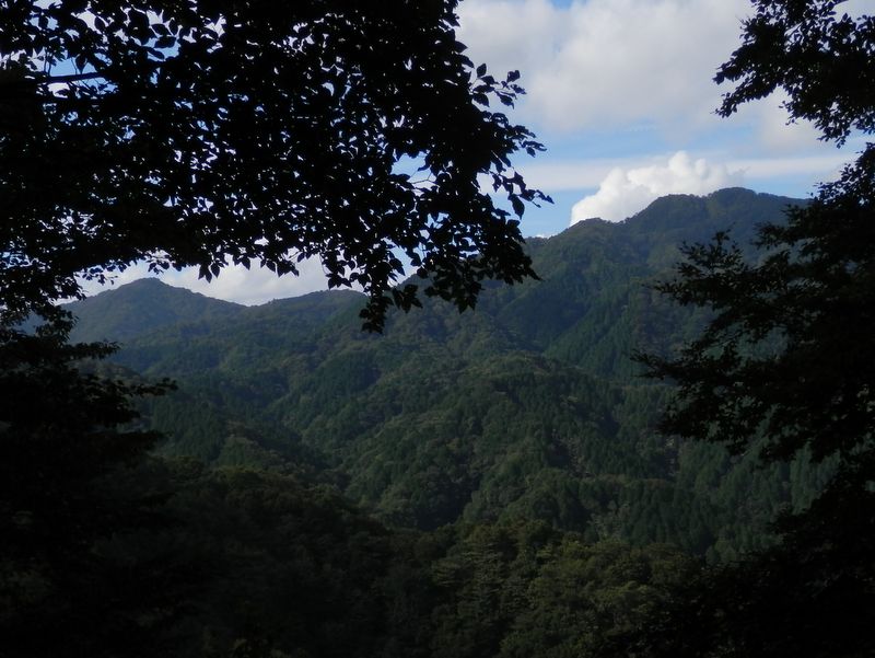 大界木山と畦ヶ丸