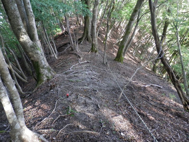 石標のある分岐(約900m)では、真東に下る