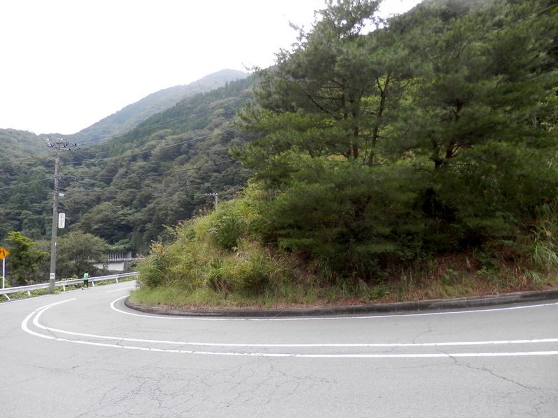 正面のアカマツの脇に下り立った