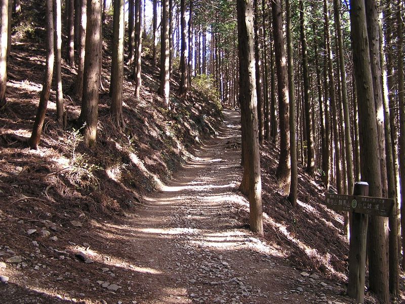 景信山・陣馬山 -- 小仏峠から景信山に向かう