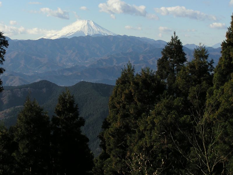 景信山頂から富士山を望む