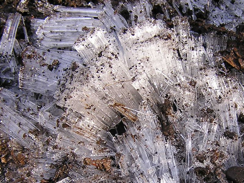 景信山・陣馬山 -- 霜柱