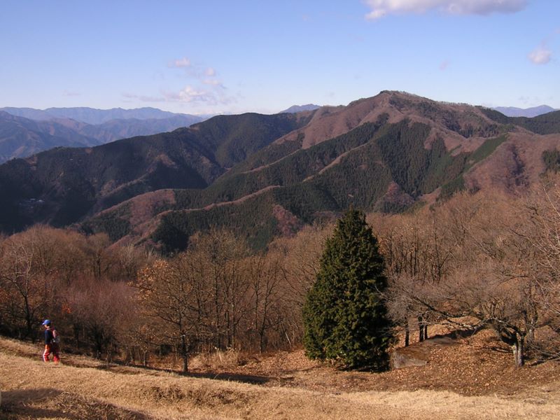 陣馬山頂より生藤山方面を望む