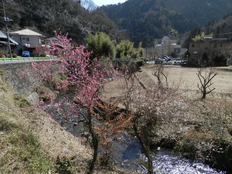 そして、川面の光