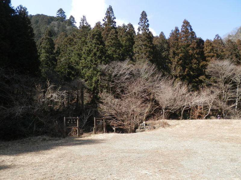 小下沢風景林の広場に到着