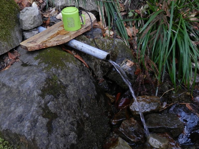 春山の水が冷たくおいしい