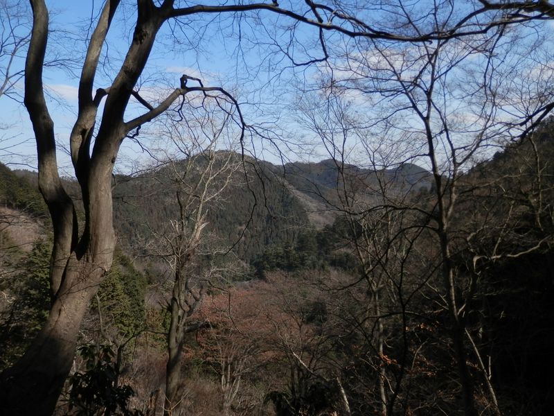 景信山登山道より、北高尾山稜を望む