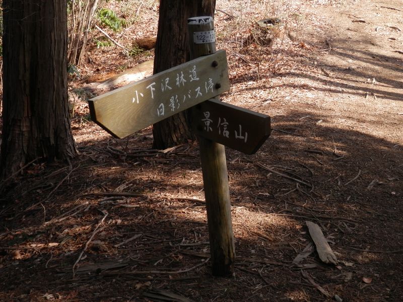 ここで右折して景信山へ