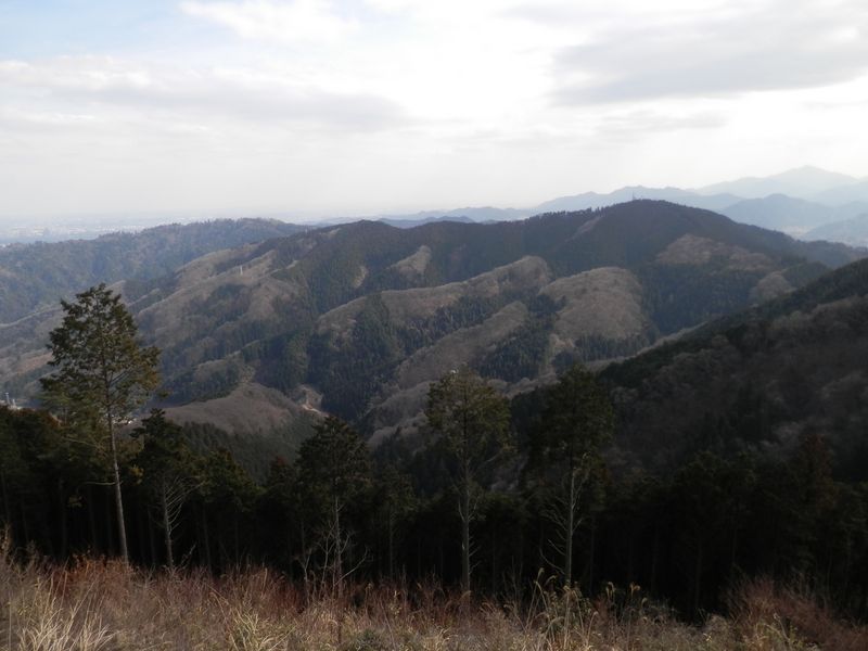 景信山より、高尾山（左）と小仏城山を望む