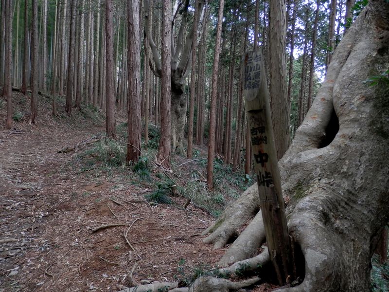 甲州道中、中峠