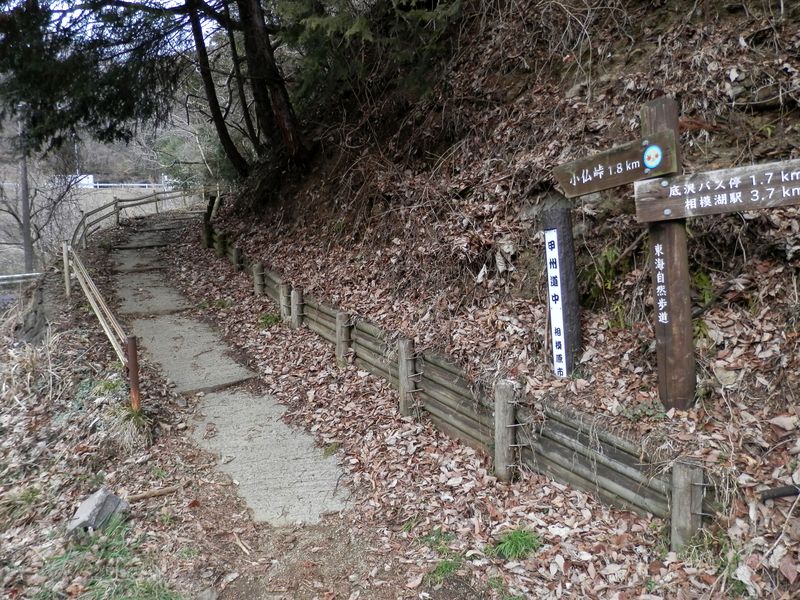 これよりアスファルトの上を歩く