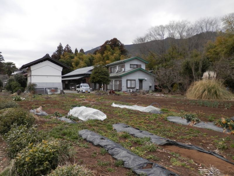 畑地の中に東海自然歩道