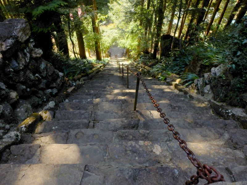 風雪により変形した石段