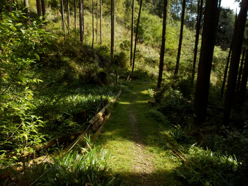 明るいところに出た