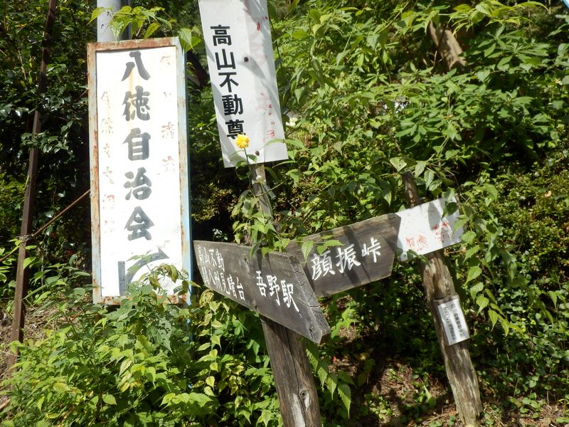 顔振峠方向に進む