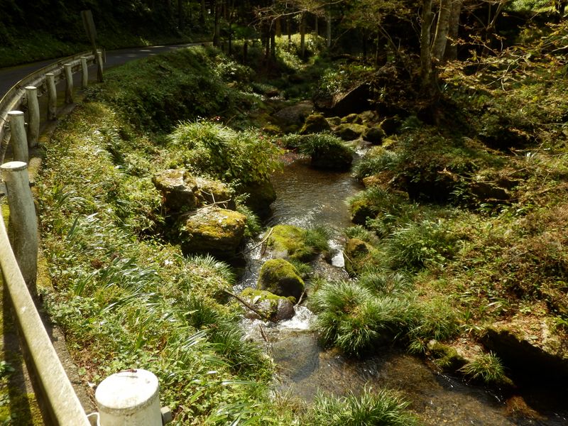 八徳に日本庭園のような流れ