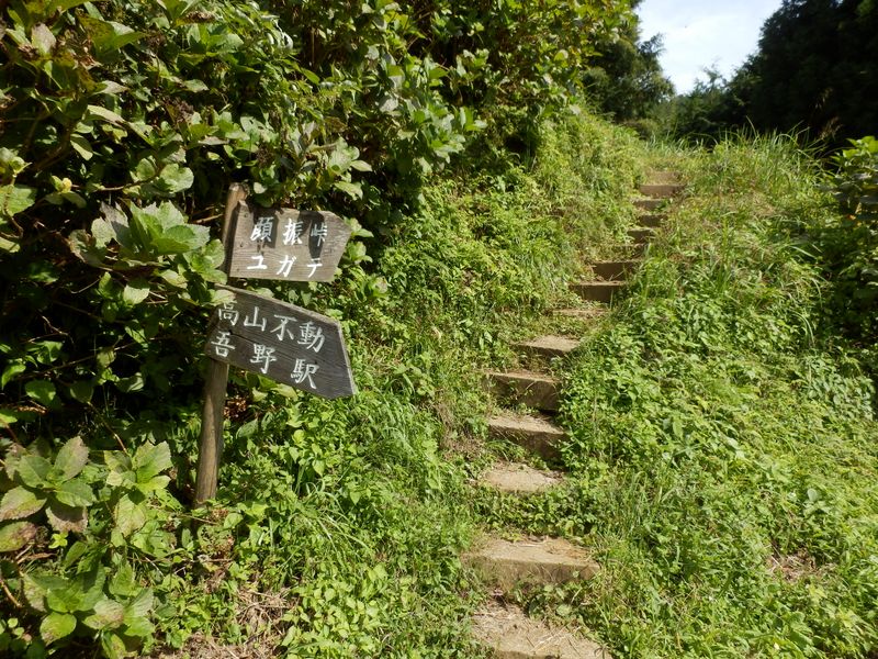 引き続き、顔振峠方向へ進む