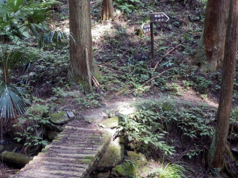 小沢を渡って、顔振峠方向へ