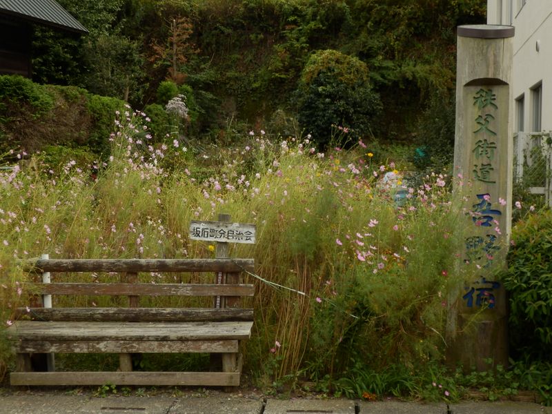 秩父街道吾野宿