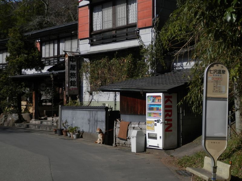 七沢温泉バス停