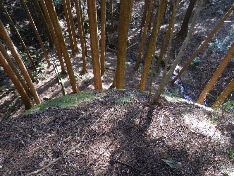 亀石の上に立ってみた