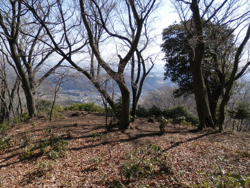 見晴らしの良い陽だまり