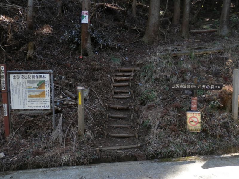 ここに下りてきた