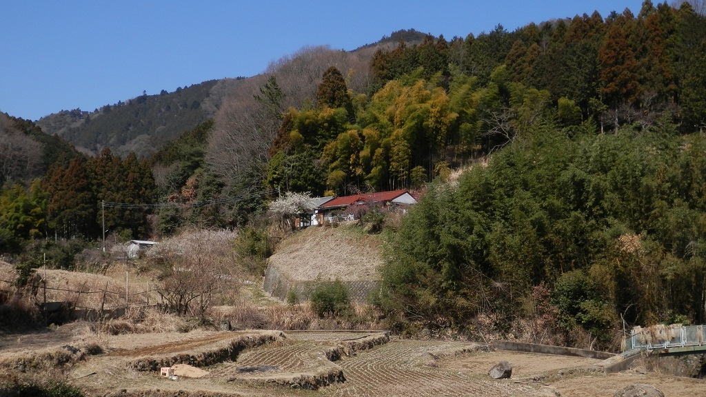 大沢の棚田と鐘ヶ嶽