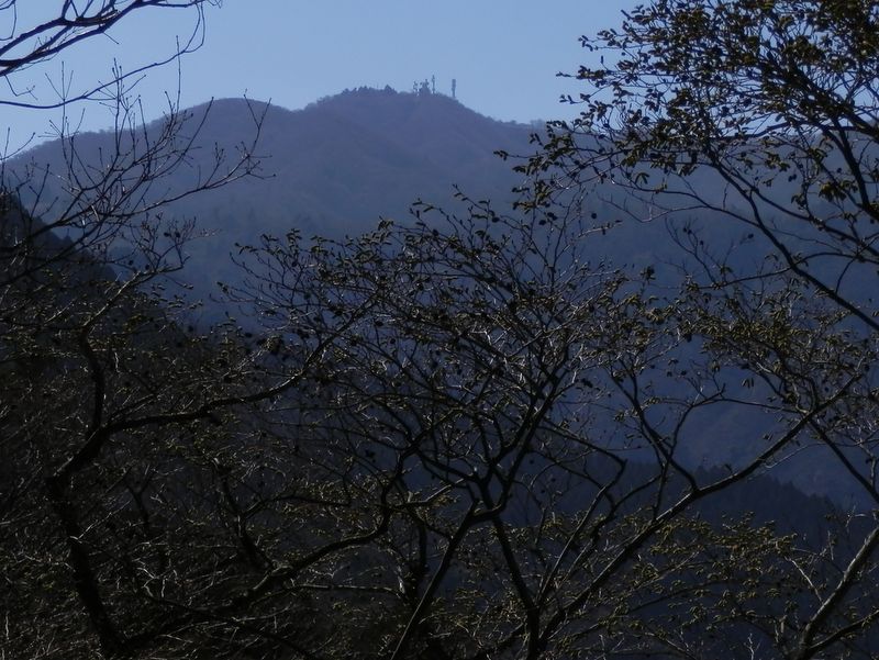 鐘ヶ嶽より大山を望む