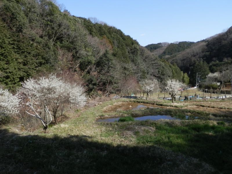 左手を七沢川が流れている
