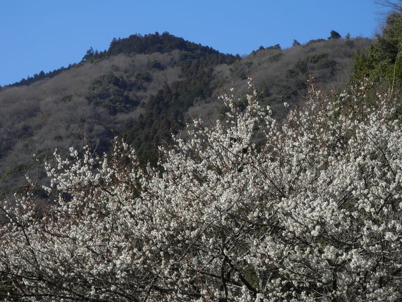 鐘ヶ嶽ズームイン