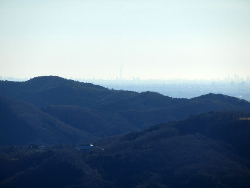 東京スカイツリーを望む