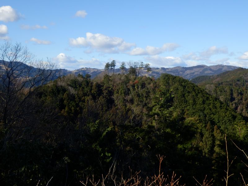 官ノ倉山の背後に外秩父の山なみ
