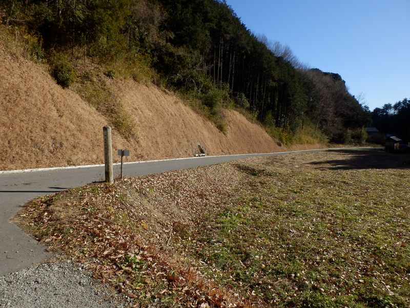 官ノ倉山 -- これより車道を歩く